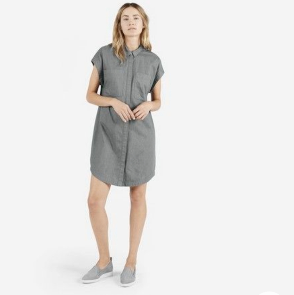 Everlane Grey Denim Shirt Dress Small